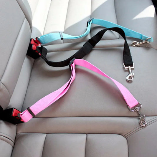 Ceinture de sécurité pour voiture PetSafe